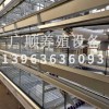 養(yǎng)雞設(shè)備機頭