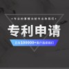 專(zhuān)利申請(qǐng)